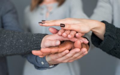 El Valor del Factor Humano: World of Job y la Búsqueda de Talento